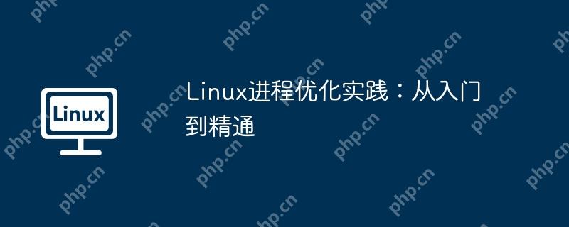 Linux进程优化实践：从入门到精通