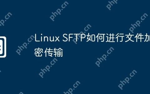 Linux SFTP如何进行文件加密传输