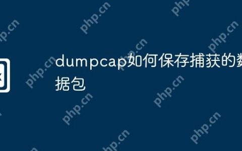 dumpcap如何保存捕获的数据包