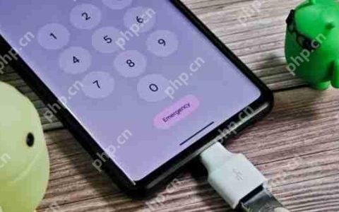 谷歌安卓 16 测试可选安全功能：锁屏后禁用 USB 连接