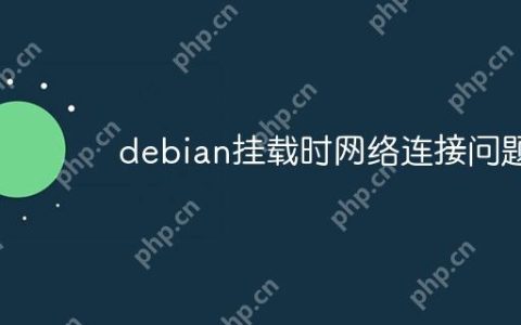 debian挂载时网络连接问题