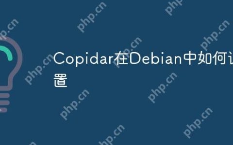 Copidar在Debian中如何设置
