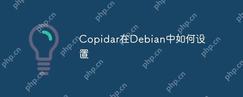 copidar在debian中如何设置