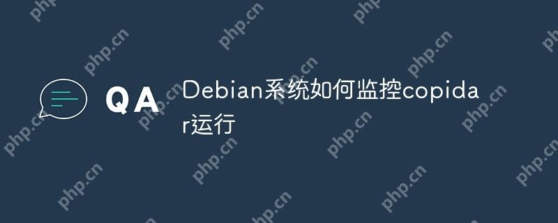 Debian系统如何监控copidar运行