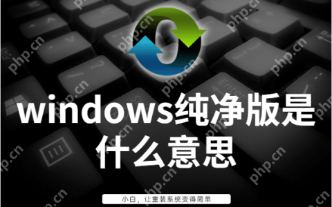 Windows纯净版是什么意思？Windows纯净版系统哪里下载