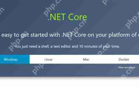 微软跨平台.NET Core 2.0版发布