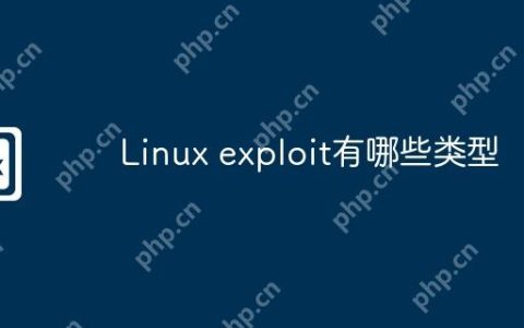 Linux exploit有哪些类型