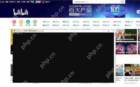 电脑上怎么下载b站的视频？bilibili网页下载视频的方法