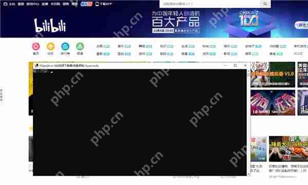 电脑上怎么下载b站的视频?bilibili网页下载视频的方法