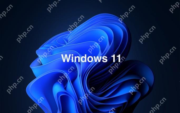 win11升级无法选择保留文件 win11升级保留文件技巧