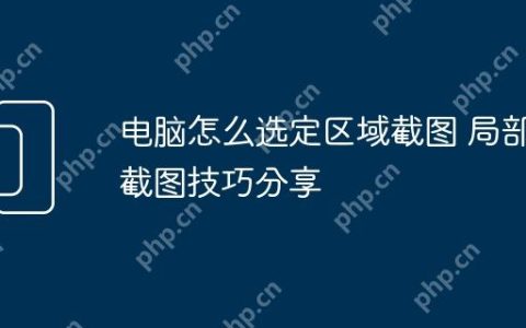 电脑怎么选定区域截图 局部截图技巧分享