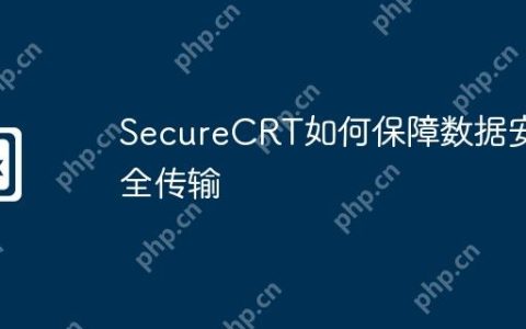 SecureCRT如何保障数据安全传输