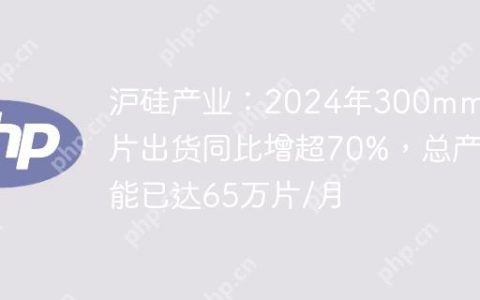沪硅产业：2024年300mm硅片出货同比增超70%，总产能已达65万片/月