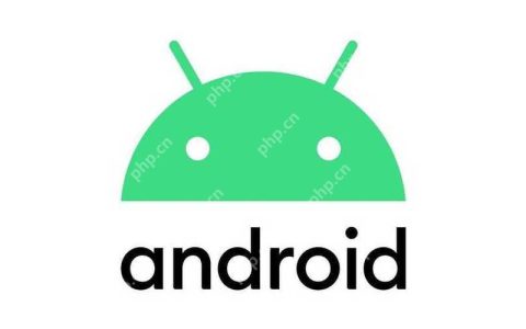 iQOO13Pro照片无法保存？切换存储路径至手机内存