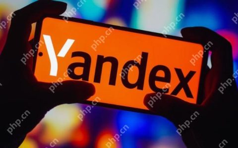 俄罗斯引擎入口首页不登录 俄罗斯引擎搜索入口无需登录网站