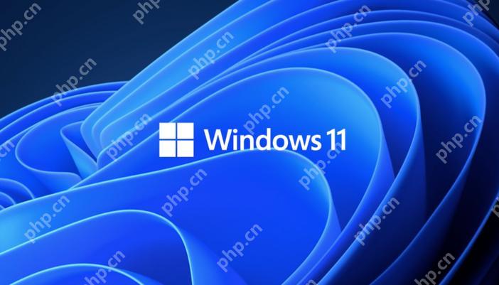 win11截屏键是哪个 win11常用截屏按键说明
