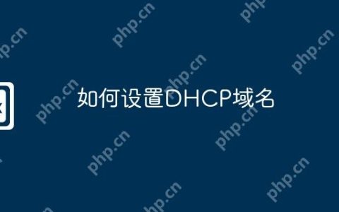 如何设置DHCP域名