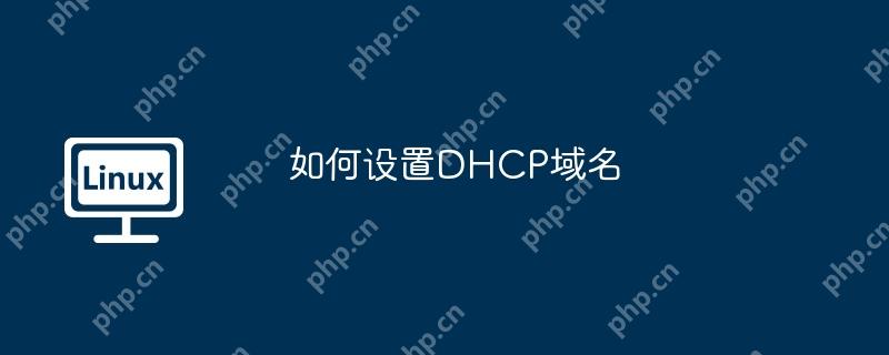 如何设置dhcp域名