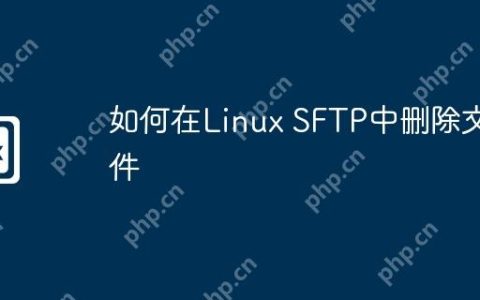 如何在Linux SFTP中删除文件