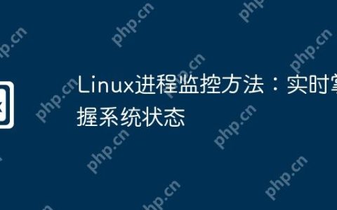 Linux进程监控方法：实时掌握系统状态