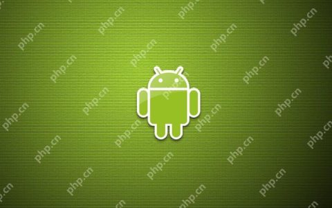 谷歌Pixel9Pro系统更新占用空间大？清理OTA缓存