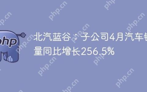 北汽蓝谷：子公司4月汽车销量同比增长256.5%