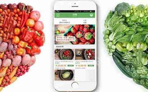开发类似美团app模板多少钱