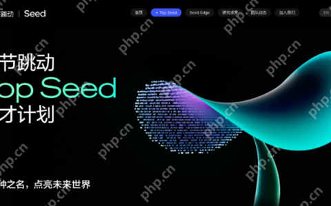 字节启动Top Seed大模型顶尖人才计划2026届校招