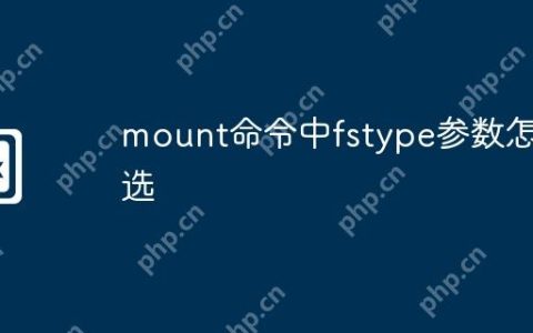 mount命令中fstype参数怎么选