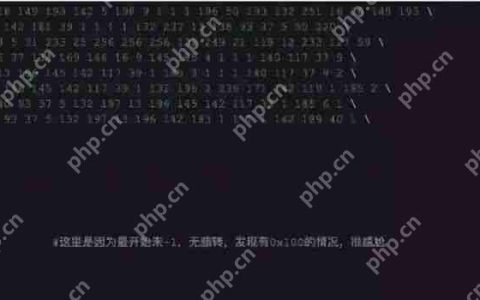 【解题报告】看雪·京东2018CTF—京东AI CTF大挑战特别题