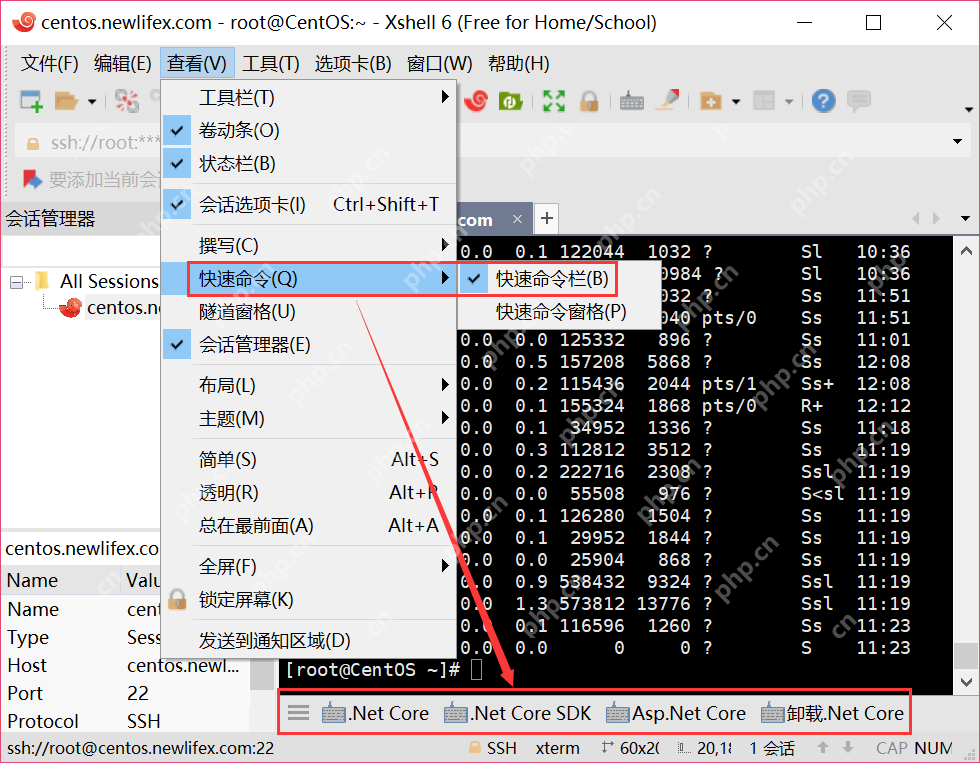[netcore]CentOS安装使用.netcore极简教程（免费提供学习服务器）新生命团队netcore服务器免费开放计划