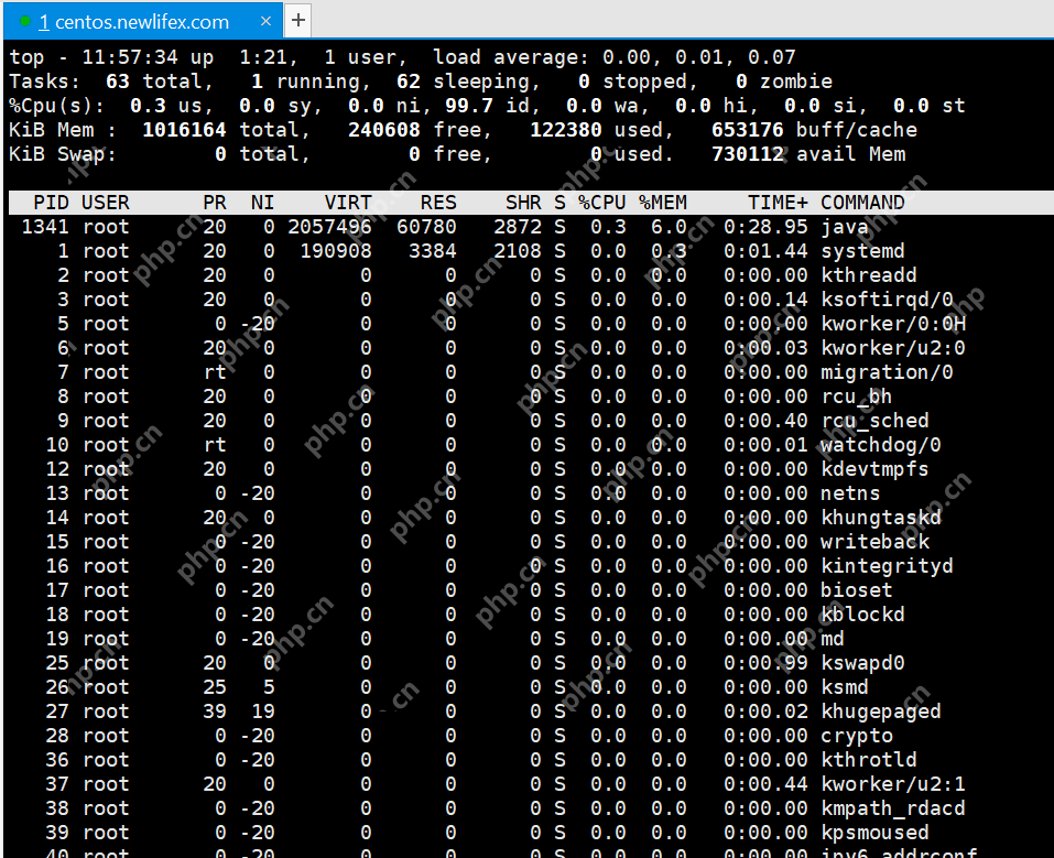 [netcore]CentOS安装使用.netcore极简教程（免费提供学习服务器）新生命团队netcore服务器免费开放计划