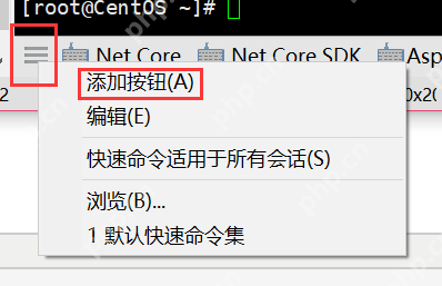 [netcore]CentOS安装使用.netcore极简教程（免费提供学习服务器）新生命团队netcore服务器免费开放计划