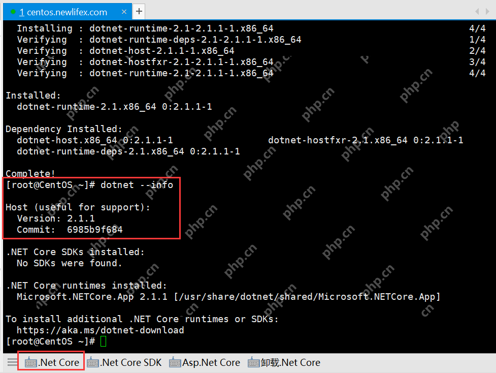 [netcore]CentOS安装使用.netcore极简教程（免费提供学习服务器）新生命团队netcore服务器免费开放计划