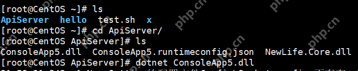 [netcore]CentOS安装使用.netcore极简教程（免费提供学习服务器）新生命团队netcore服务器免费开放计划