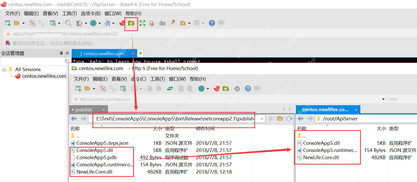 [netcore]CentOS安装使用.netcore极简教程（免费提供学习服务器）新生命团队netcore服务器免费开放计划