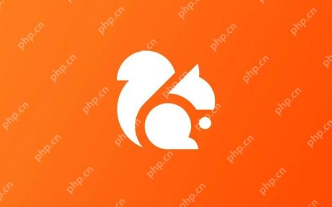 uc浏览器手机缓存的视频怎么导出