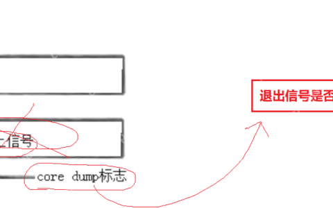【linux学习指南】Linux进程信号产生(三) 硬件异常&&除零出错？&&野指针异常？&&core文件