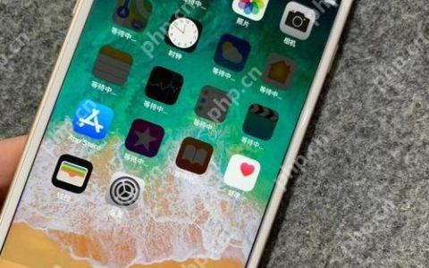 iOS设备安装翻译软件（如DeepL）的技巧