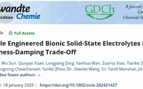 复旦大学赵婕课题组开发多尺度工程仿生固态电解质，打破刚度-阻尼权衡