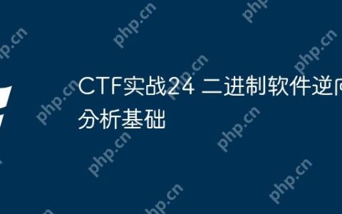 CTF实战24 二进制软件逆向分析基础
