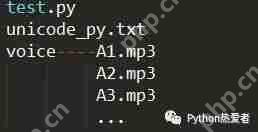 Python实现文字转语音功能