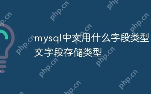 mysql中文用什么字段类型 中文字段存储类型