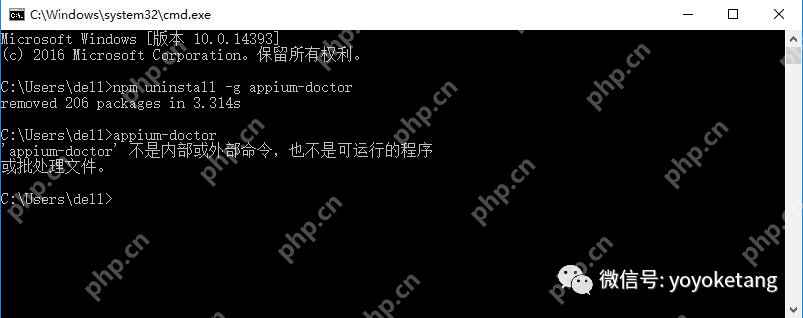 Appium+python自动化54-appium-doctor