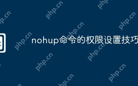 nohup命令的权限设置技巧