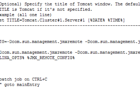 用JMX远程监控Tomcat