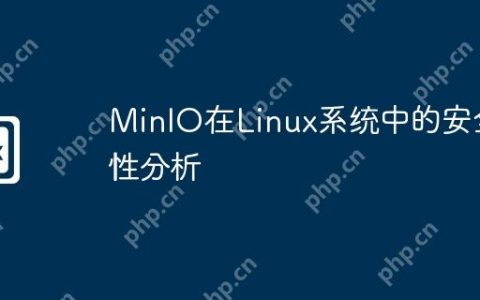 MinIO在Linux系统中的安全性分析