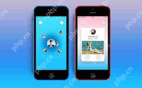 软件开发的市场需求及应用