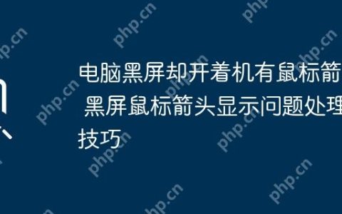 电脑黑屏却开着机有鼠标箭头 黑屏鼠标箭头显示问题处理技巧