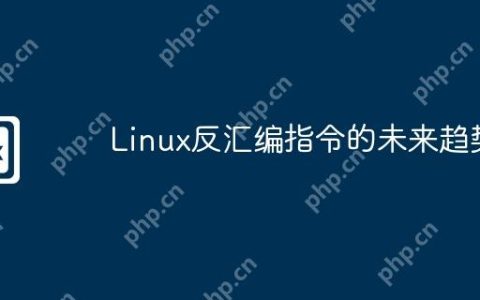 Linux反汇编指令的未来趋势